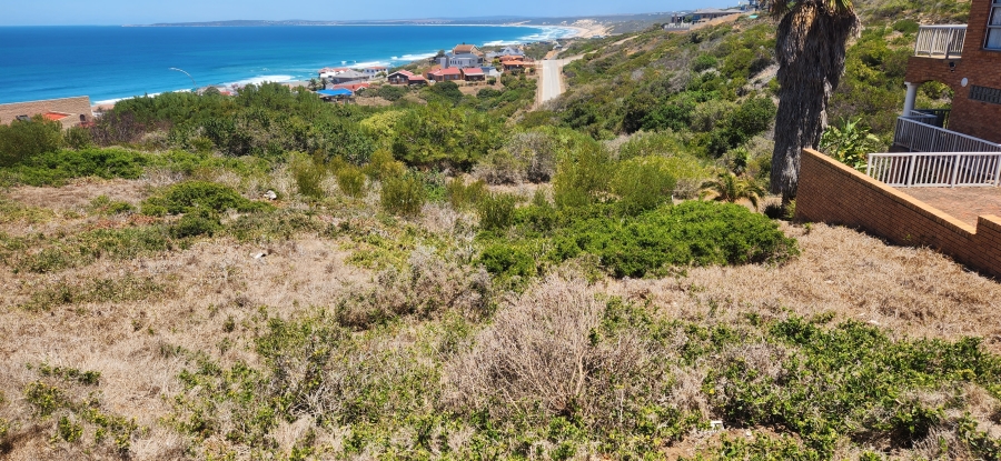 0 Bedroom Property for Sale in Dana Bay Western Cape